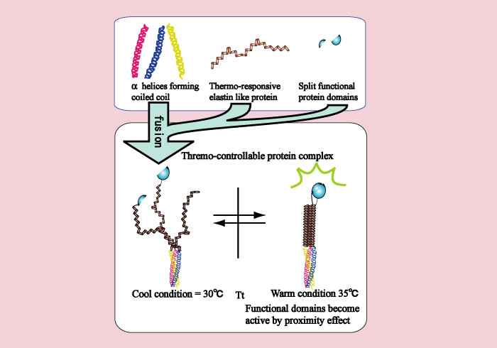 Creation of an Environment Responsive Protein