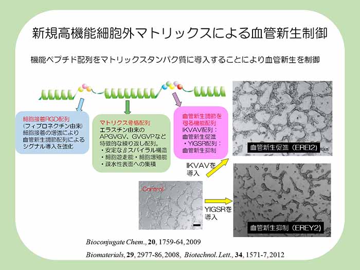 新規高機能細胞外マトリックスによる血管新生制御