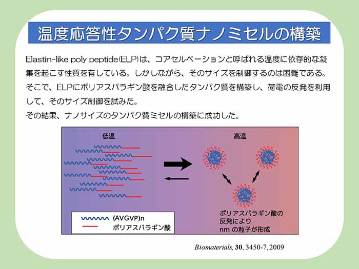 温度応答性タンパク質ナノミセルの構築