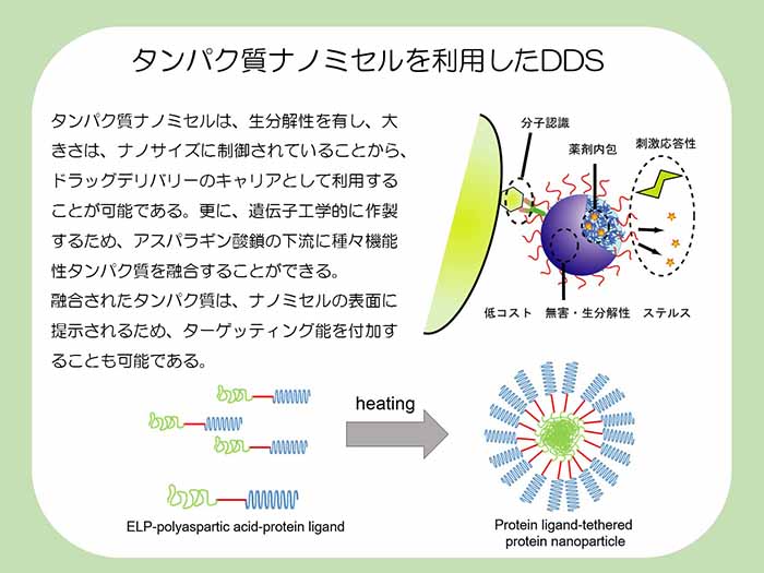 タンパク質ナノミセルを利用したDDS